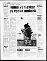 Síða 3