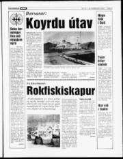 Síða 5