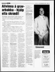 Síða 15