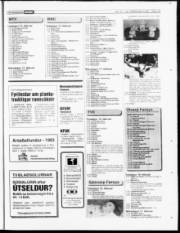 Síða 19