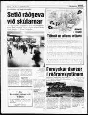 Síða 4