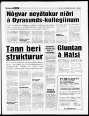 Síða 5