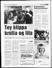 Síða 6