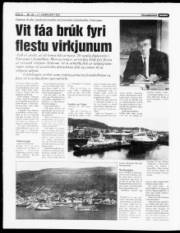 Síða 8
