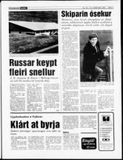 Síða 3