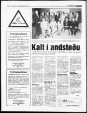 Síða 4