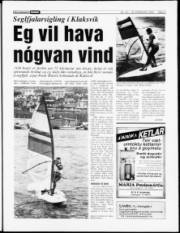 Síða 5