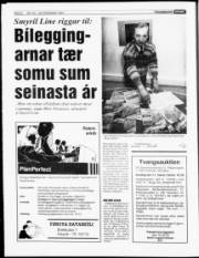 Síða 6