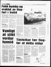 Síða 13