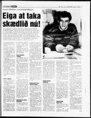 Síða 15