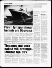 Síða 3