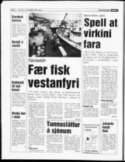 Síða 8