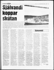 Síða 15