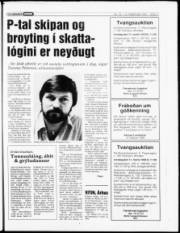 Síða 17