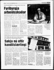 Síða 8