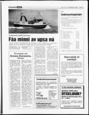 Síða 11