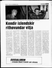 Síða 16