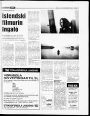 Síða 17