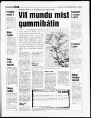 Síða 3