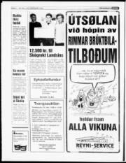 Síða 6