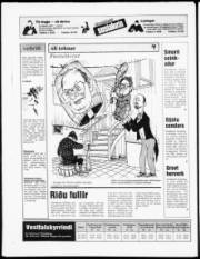 Síða 19
