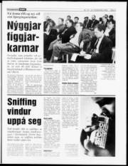 Síða 3