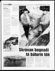 Síða 5