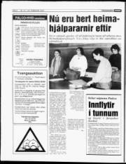 Síða 6