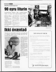 Síða 7