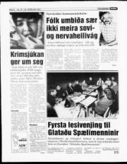 Síða 8