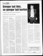 Síða 13