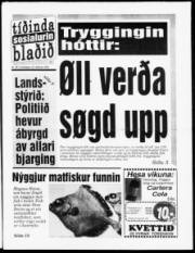 Síða 1
