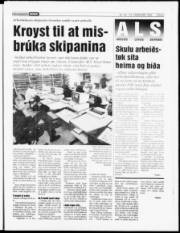 Síða 5