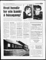 Síða 8