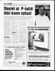 Síða 11