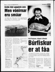 Síða 12