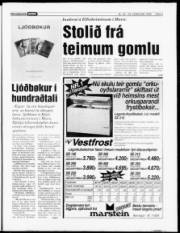 Síða 3