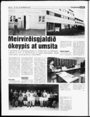 Síða 8