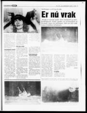 Síða 15
