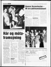 Síða 17