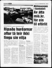 Síða 3