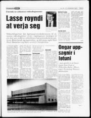 Síða 5