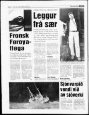 Síða 6