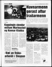 Síða 13