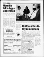 Síða 5