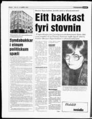 Síða 8