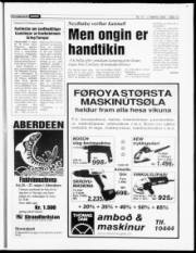 Síða 13
