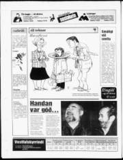 Síða 20