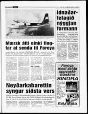 Síða 5