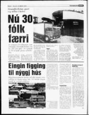 Síða 6